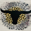 amandacovertx6
